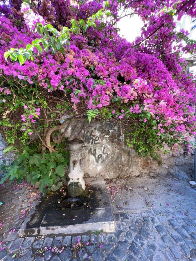 Loft Trastevere Rome Bagian luar foto